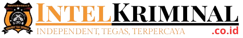 intelkriminal.co.id