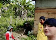 Semangat Baru: Pembangunan Kandang Ayam Petelur di Ponpes Darul Amal untuk Kemandirian Ekonomi