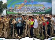 Danpuslatpur Kodiklatad Brigjen Dany Rakca Dengan Inovasi Mikroba sukseskan Panen Raya Jagung, Membuat Petani Kagum Dengan Hasil Yang Sangat Maksimal