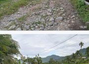 *Jalan Seribu Lubang di Kelurahan Bungus Timur, Kinerja Perangkat Daerah Jadi Sorotan Publik*