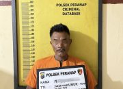 Pelarian Pembakar Istri Terhenti, Polsek Peranap Bekuk Pelaku Dalam Kebun Sawit
