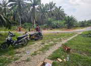 Ketua DPRD Kampar Angkat Bicara Soal Jalur Rawan Sei Kijang: Keselamatan Nomor Satu!