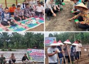 Polres Kuansing Gencarkan Penanaman Jagung Pipil di Empat Kecamatan, Dukung Asta Cita Presiden RI dan Swasembada Pangan 2025