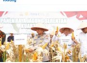 Polda Riau Gelar Panen Raya Serentak Kuartal III 2025, Wujud Nyata Sinergi untuk Ketahanan Pangan