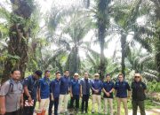 Klarifikasi/JD Karya Mandiri dan PT Agrinas Palma Nusantara Bantah Tuduhan Soal Pengelolaan Lahan Eks PT Tunggal Perkasa Plantations