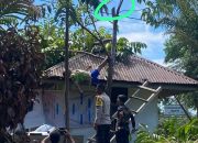 Warga Pulau Gadang Tersengat Arus Listrik Saat Bersihkan Dahan Pohon