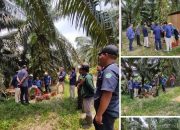 Kunjungan Monitoring Kepala Tim Quality Control dan Quality Assurance PT. Agrinas Palma Nusantara dari Head Office Jakarta