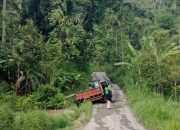 BREAKING NEWS | intelkriminal.co.id  Jalan Kabupaten Simpang Sitingkai–Matua Rusak Parah dan Rawan Kecelakaan, Wali Nagari Koto Rantang Harapkan Perhatian Serius Pemkab Agam