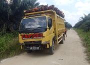 Aksi Penjarahan TBS Terang-terangan di PT Indrawan Perkasa’ Melibatkan Puluhan Massa dan Mantan Karyawan