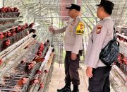 BREAKING NEWS|Intelkriminal.co.id  Dukung Ketahanan Pangan, Polsek Lirik Pantau Produktivitas Peternakan Ayam Petelur di Desa Rejosari