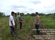 BREAKING NEWS | Intelkriminal.co.id  Polsek Peranap Pantau Lahan Ketahanan Pangan di Desa Sukamaju, Tanaman Jagung Pipil Dilaporkan Gagal Panen
