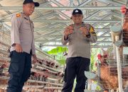BREAKING NEWS | Intelkriminal.co.id  Dukung Ketahanan Pangan, Polsek Lirik Pantau Intensif Peternakan Ayam Petelur di Desa Lambang Sari 123