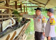 BREAKING NEWS | Intelkriminal.co.id  Sinergi Polri dan Desa, Polsek Lirik Pantau Perkembangan Peternakan Kambing Binaan di Sukajadi