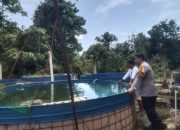 BREAKING NEWS | Intelkriminal.co.id  Swasembada Pangan Dengan Ikan Lele, Bhabinkamtibmas Polsek Kelayang Dampingi Warga Langsung