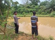 BREAKING NEWS|Intelkriminal.co.id  Dukung Ketahanan Pangan, Polsek Lirik Sambangi Budidaya Ikan di Bumdes Lambang Sari V