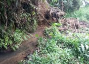 BREAKING NEWS|Intelkriminal.co.id  Irigasi Sawah Bukik Tarapung Rusak Total, Petani Jorong Aua Kuniang Menunggu Perhatian Pemerintah
