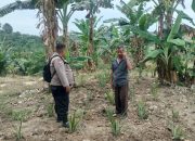 BREAKING NEWS|Intelkriminal.co.id  Polres Inhu Tingkatkan Kesadaran Masyarakat Pentingnya Ketahanan Pangan, Manfaatkan Lahan Secara Produktif