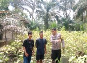 BREAKING NEWS|Intelkriminal.co.id  Polisi Cinta Petani, Polres Inhu Fokus Motivasi Pemanfaatan Pekarangan Produktif Warga