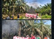 BREAKING NEWS|Intelkriminal.co.id  Masyarakat Desa Pondok Gelugur Tolak Pengelolaan Lahan oleh Perusahaan,Di Dampingi Mahasiswa Dan Tokoh Masyarakat