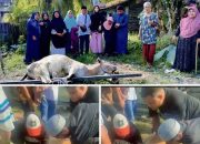 BREAKING NEWS | Intelkriminal.co.id  Kegiatan Idul Adha 1447 H di RT 03/RW 08 Kelurahan Meranti Pandak Berlangsung Penuh Hikmah dan Barokah