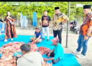 BREAKING NEWS | Intelkriminal.co.id  Pemuda Pancasila Deli Serdang Sembelih 9 Hewan Kurban