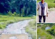 Breaking News | intelkriminal.co.id  Warga Jorong Kampung Pasia Pertanyakan Janji Bantuan 8 Karung Padi, Mengapa yang Diterima Hanya 3 Karung?