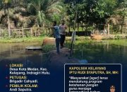 Breaking News | intelkriminal.co.id  Bhabinkamtibmas Polsek Kelayang Sambangi Peternakan Ikan Warga, Dukung Ketahanan Pangan Nasional