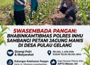 BREAKING NEWS | Intelkriminal.co.id  Swasembada Pangan, Bhabinkamtibmas Polres Inhu Sambangi Petani Jagung Menuli