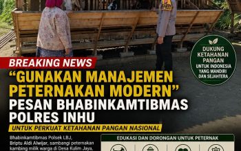 BREAKING NEWS | INTELKRIMINAL.CO.ID “Gunakan Manajemen Peternakan Modern”, Pesan Bhabinkamtibmas Polres Inhu untuk Perkuat Ketahanan Pangan Nasional