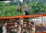 BREAKING NEWS | Intelkriminal.co.id  Polisi Cinta Petani Hadir di Tengah Warga, Polres Inhu Perkuat Ketahanan Pangan dari Sektor Pertanian dan Peternakan