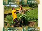 BREAKING NEWS | INTELKRIMINAL.CO.ID  Dukung Ketahanan Pangan Nasional, Bhabinkamtibmas Polsek Kelayang Sambangi Kebun Kacang Milik Warga