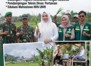 BREAKING NEWS| Intelkriminal.co.id Kolaborasi Pemerintah, TNI, Petani dan Mahasiswa Wujudkan Ketahanan Pangan, Lurah Meranti Pandak Pimpin Gerakan Tanam Padi Bersama