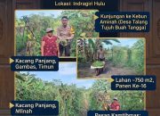 BREAKING NEWS | Intelkriminal.co.id Bhabinkamtibmas Polsek Kelayang Perkuat Silaturahmi Lewat Door to Door System, Dukung Ketahanan Pangan dan Sampaikan Pesan Kamtibmas