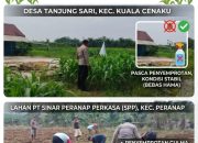 BREAKING NEWS | Intelkriminal.co.id Dukung Swasembada Pangan Nasional, Polres Inhu Intensif Monitoring Lahan Jagung Pipil