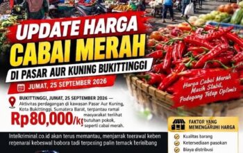 BREAKING NEWS | INTELKRIMINAL.CO.ID  Update Harga Cabai Merah di Pasar Aur Kuning Bukittinggi, Jumat 25 September 2026
