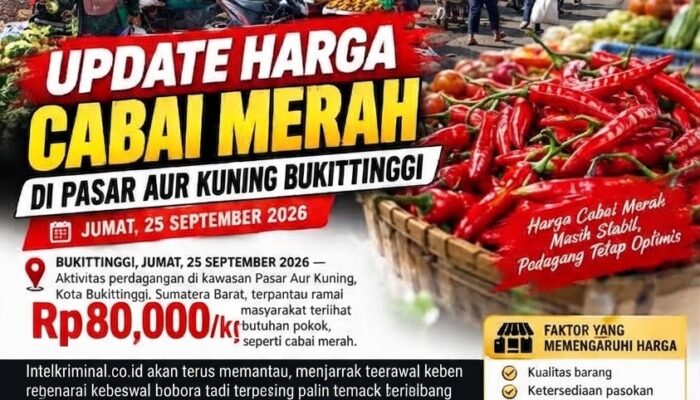 BREAKING NEWS | INTELKRIMINAL.CO.ID  Update Harga Cabai Merah di Pasar Aur Kuning Bukittinggi, Jumat 25 September 2026